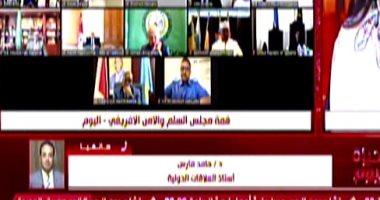 أستاذ علاقات دولية: كلمة الرئيس السيسي بقمة الأمن الأفريقي تؤكد ثوابت مصر