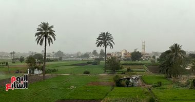 انخفاض بالحرارة اليوم وشبورة وأمطار بعدة مناطق والصغرى بالقاهرة 14 درجة