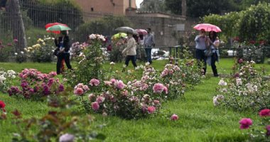 إيطاليا بلون الورد.. فعاليات معرض الزهور فى روما