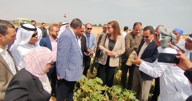 وزيرا التنمية المحلية والتخطيط يوجهان الشكر لأهالى سيناء على جهود التعمير