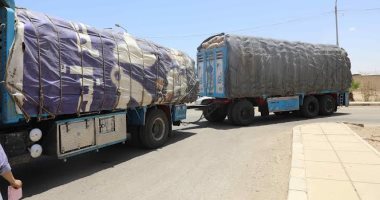 نائب محافظ المنيا: ضبط 4 سيارات محملة بـ81 طنا من محصول القمح