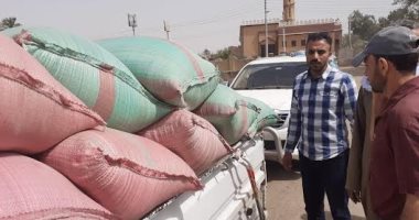 ضبط 12 طنا من محصول القمح بهدف الاحتكار بمركز ديرمواس فى المنيا