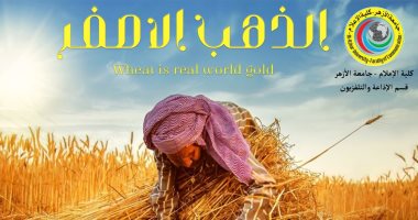 طلاب إعلام الأزهر ينتجون فيلما وثائقيا عن القمح بعنوان "الذهب الأصفر"