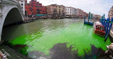 نشطاء المناخ يصبغون مياه فينيسيا باللون الأخضر