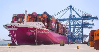 ميناء دمياط يستقبل 10 سفن متنوعة خلال 24 ساعة