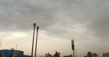 عاصفة هوائية محملة بالأتربة تضرب محافظة المنوفية.. صور