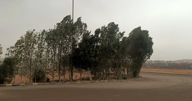 عاصفة ترابية وهطول أمطار على مدينة السادات بالمنوفية