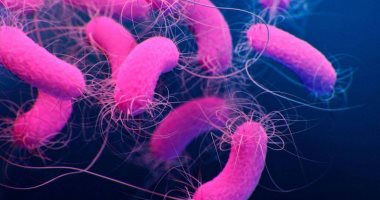 المضاد الحيوى قد يكون قاتلا.. البكتيريا الخارقة تهدد 10ملايين شخص سنويا