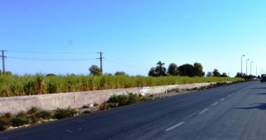 تطوير الطريق الزراعى الشرقى "أسوان - كوم أمبو" بطول 45 كيلو بخطة العام المالى القادم