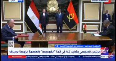 مساعد وزير الخارجة الأسبق: الرئيس السيسى أول رئيس مصرى يزور دول الجنوب الأفريقى