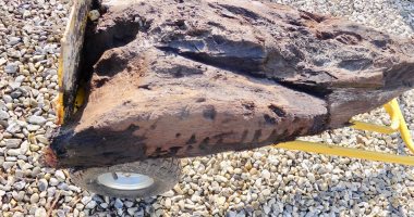عثر عليه بالصدفة.. اكتشاف خشب منحوت عمره 6 آلاف عام فى إنجلترا