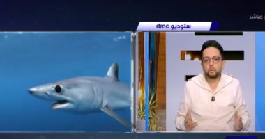 أحمد فايق: حالة واحدة من 334 مليون حالة قد تتعرض للهجوم من أسماك القرش