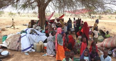 القاهرة الإخبارية: السودانيون يستغلون "هدنة اليوم" في النزوح لمناطق آمنة