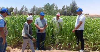 زراعة بورسعيد: الوزارة قدمت تسوية بالليزر لـ540 فدانا كخدمة للمزارعين