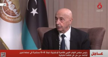 رئيس مجلس النواب الليبي: اعترضنا على وجود جولة ثانية إجبارية في الانتخابات الرئاسية