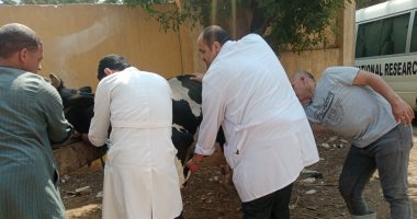 علاج 2965 حيوان وطائر خلال قافلة بيطرية مجانية فى أبو النمرس.. صور