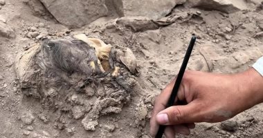 اكتشاف مومياء عمرها 3000 عام فى بيرو