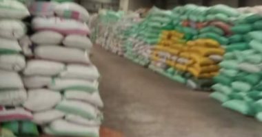 محافظ دمياط: انتظام منظومة توريد محصول القمح بإجمالى 60 ألف طن