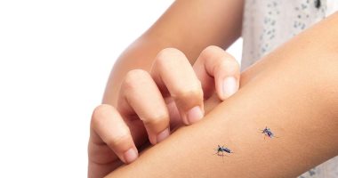 اعرف إزاى تحمى أطفالك من 5 أمراض تنقلها الحشرات