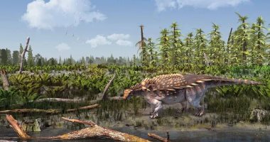 اكتشاف نوع جديد من الديناصورات