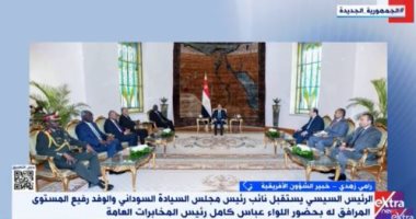 خبير شئون أفريقية: مصر تسعى لعودة السيادة والاستقرار والأمن للشعب السوداني
