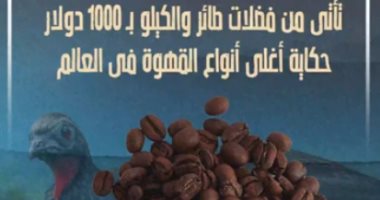تأتى من فضلات طائر والكيلو بـ 1000 دولار.. حكاية أغلى أنواع القهوة فى العالم (فيديو)