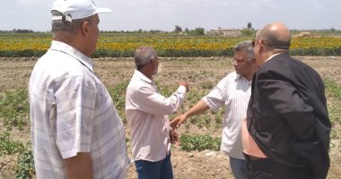 زراعة الإسماعيلية تنظم يوما حقليا لمزارعي القطن فى جلبانة شرق قناة السويس