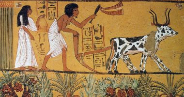 المذراة والأمشاط .. أدوات الزراعة عند المصرى القديم .. هل سمعت عنها؟