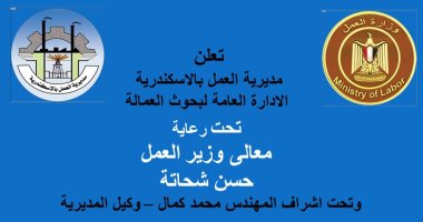 وزارة العمل تعلن عن فرص عمل للشباب بالإسكندرية