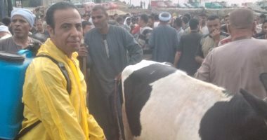 حملات من الطب البيطرى بالجيزة لإحكام الرقابة على أسواق الماشية قبل العيد.. صور
