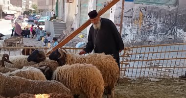 عادة كل سنة.. راعى كنيسة الأقباط يشترى خروف العيد لتوزيعه بالغردقة.. صور