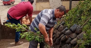 جهاز شئون البيئة بالشرقية يزرع 11 ألف شجرة بقرى حياة كريمة في الحسينية