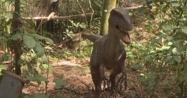 تضم 40 مجسما بالحجم الطبيعى.. البرازيل تفتتح أكبر حديقة ديناصورات بالعالم.. فيديو