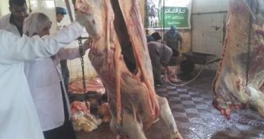 ذبح 30 رأس ماشية على مدار أيام العيد وتوزيعها على مستحقيها بمراكز ومدن الشرقية