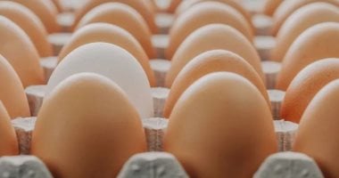 "الزراعة والتموين وحماية المنافسة" تواجه احتكار الشركات بيض المائدة