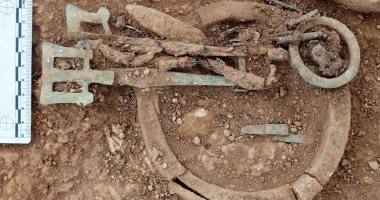 علماء الآثار يكشفون أسرار شبكة تجارية لنقل الحلقات العاجية من أفريقيا إلى بريطانيا