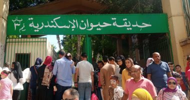 أكثر من 53 ألف زائر لحديقة حيوان الإسكندرية خلال إجازة عيد الأضحى.. صور