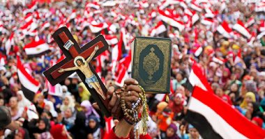 كيف أنقذت ثورة 30 يونيو مصر والعالم من مخطط جماعة الإرهاب؟.. برلمانى