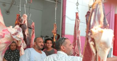 استقرار أسعار اللحوم فى الأسواق وسعر كيلو الضأن يبدأ بـ250 جنيها