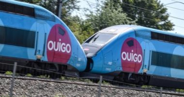 تغريم هيئة سكك الحديد الفرنسية بسبب دهس قط تحت عجلات قطار