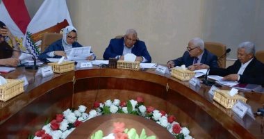 الوادي الجديد: تخصيص 10 آلاف فدان لصالح مبادرة "أراضي المصريين العاملين بالخارج"