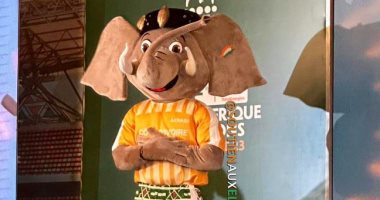 الفيل أكوابا تميمة بطولة أمم أفريقيا 2023