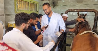 كلية الطب البيطري جامعة الإسكندرية تطلق قافلة بقرى أبيس بالمجان