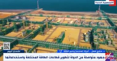 خبير لـ "إكسترا نيوز": 80 مليون طن إنتاج مصر من البترول هذا العام