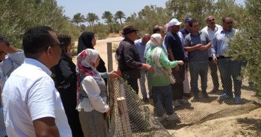 الزراعة: وفد الفاو يتفقد أنشطة مركز بحوث الصحراء بجنوب سيناء