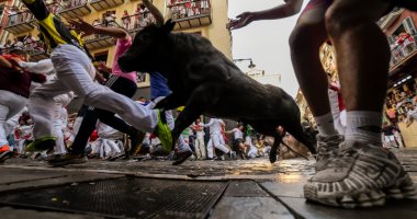 منافسة مثيرة بين آلاف الثيران بسباق مهرجان سان فيرمين فى بامبلونا.. صور