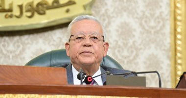 نائب برلمانى: رسائل رئيس مجلس النواب بشأن القضية الفسطينية تعبر عن الشارع المصرى