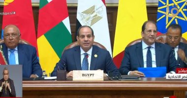 حزب الحرية المصرى: كلمة الرئيس بقمة دول الجوار جسدت الرؤية المصرية المتوازنة من الأزمة السودانية