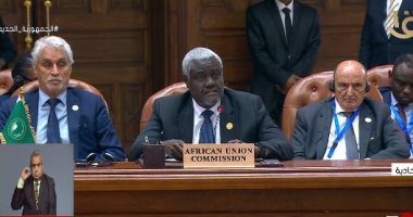 رئيس مفوضية الاتحاد الأفريقي يشكر الرئيس السيسي على دعوته لحضور قمة دول الجوار