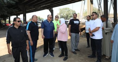 محافظ القاهرة يتفقد مشروع تقاطع امتداد محور الحضارة مع كورنيش النيل